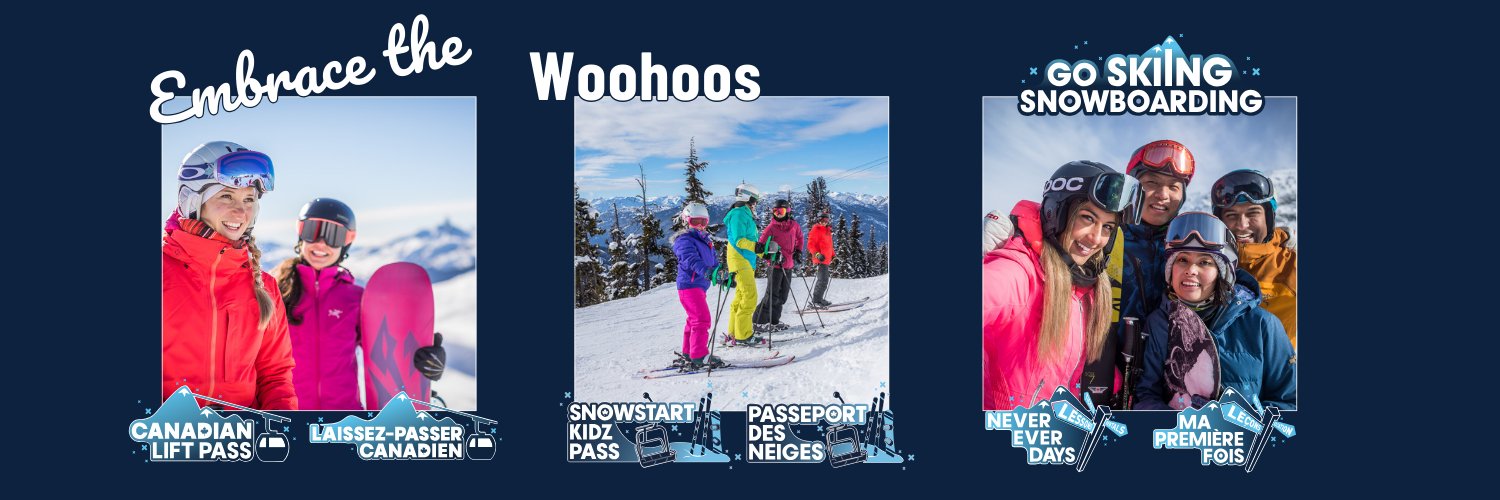 Go Skiing Go Snowboarding banner