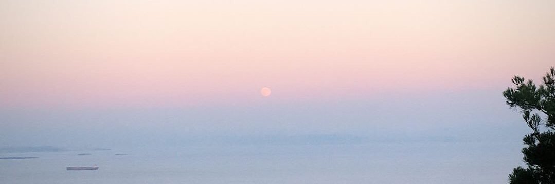 TugceEmiral's profile banner image