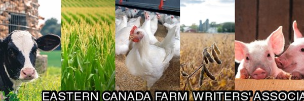 ecfwa Profile Banner