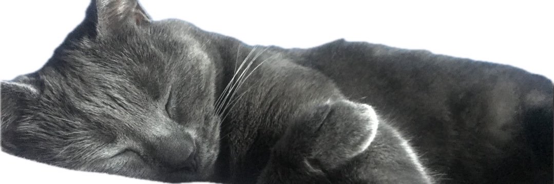 natbite's profile banner image