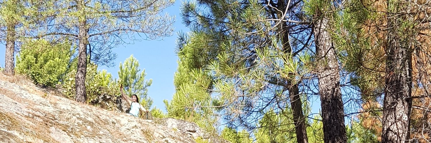 mscontroversias's profile banner image