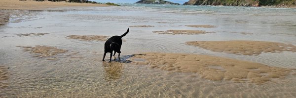 edmcdermott12 Profile Banner