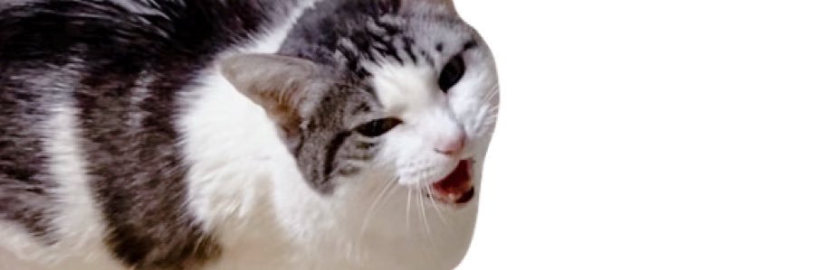 morugana0's profile banner image