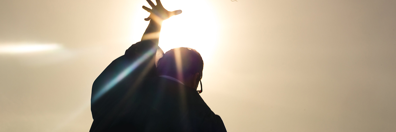 Davis University banner