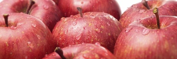 RACorporate Profile Banner