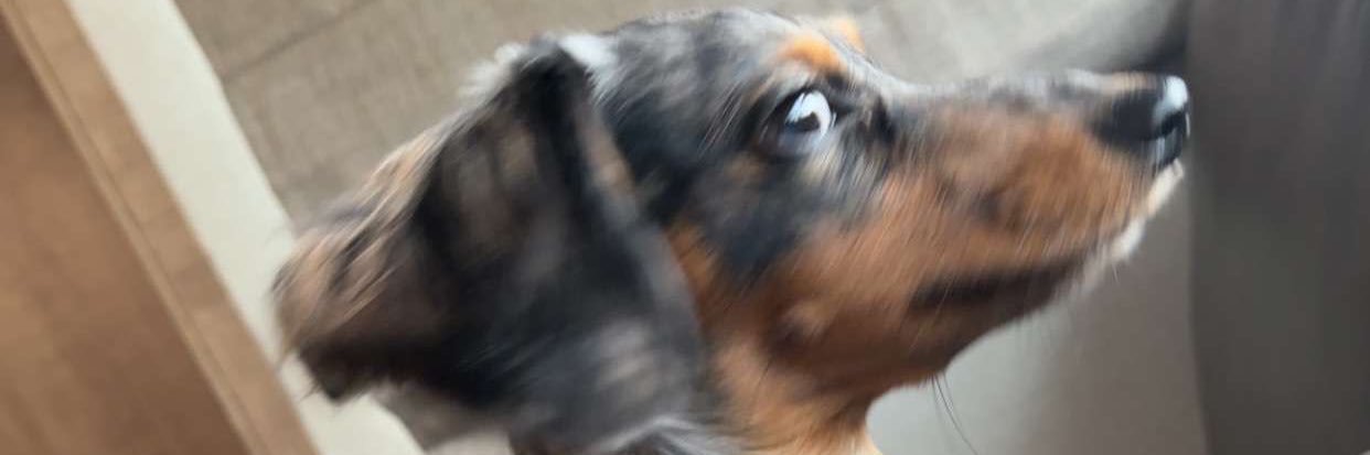 jmoverby's profile banner image