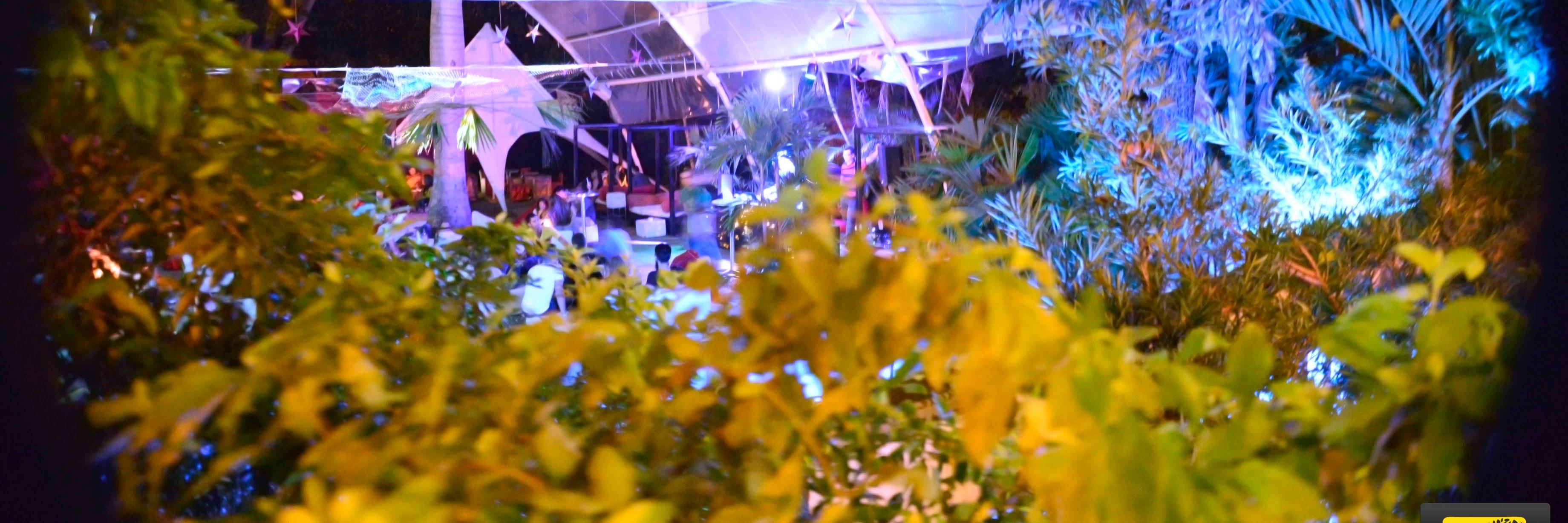 GardenSur's profile banner image