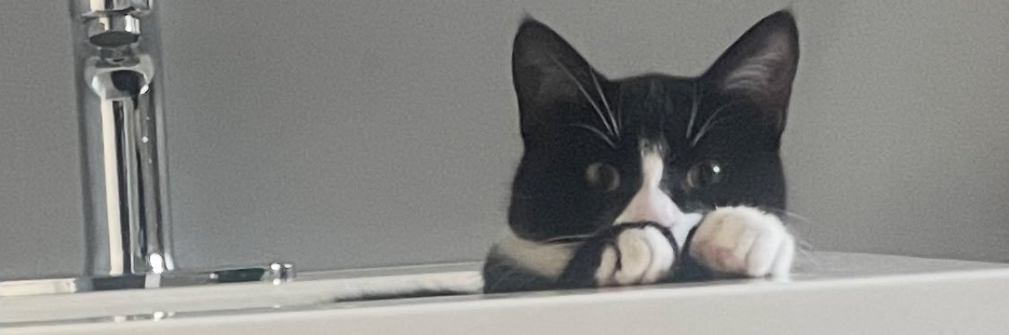 FunCat4you's profile banner image