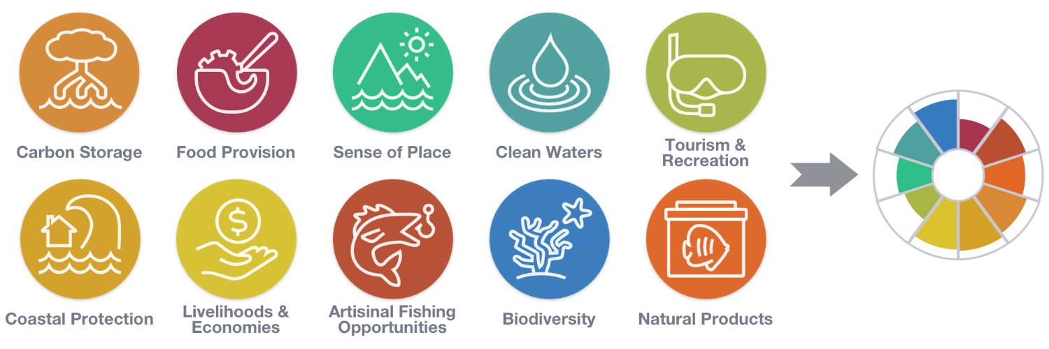 Ocean Health Index Profile Banner