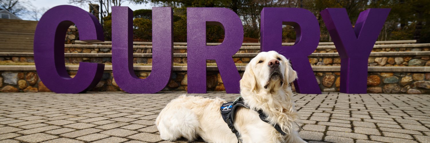 Curry College's banner