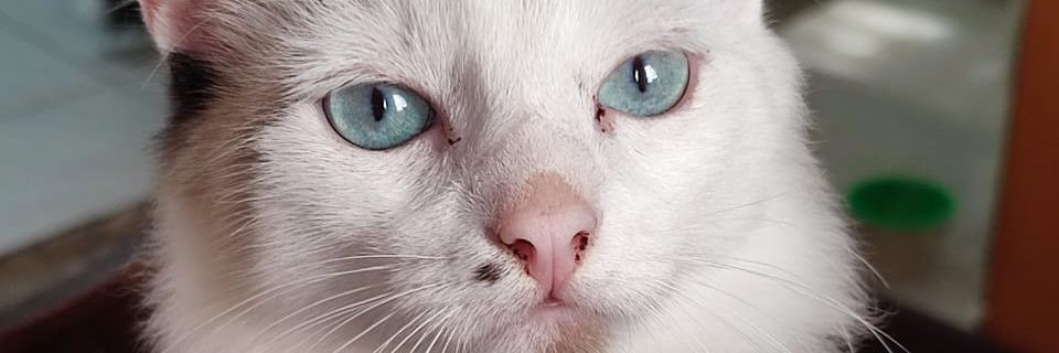 JamiBPM's profile banner image