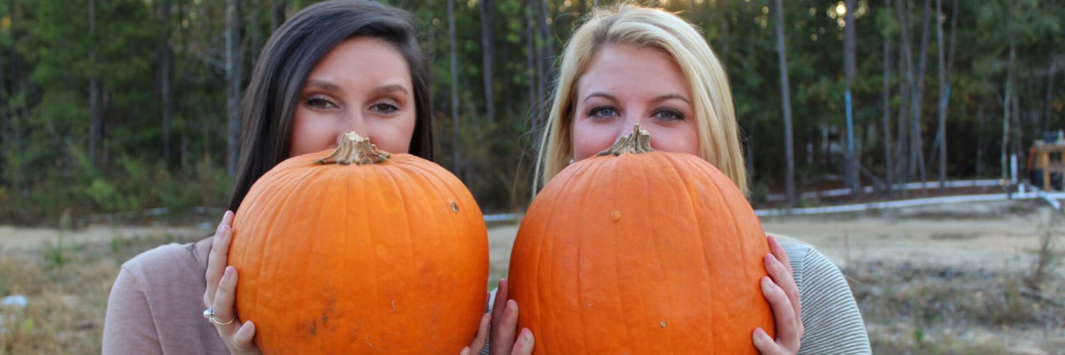HillaryPayton's profile banner image