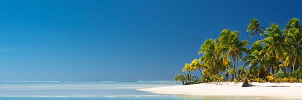 mathieuamos Profile Banner