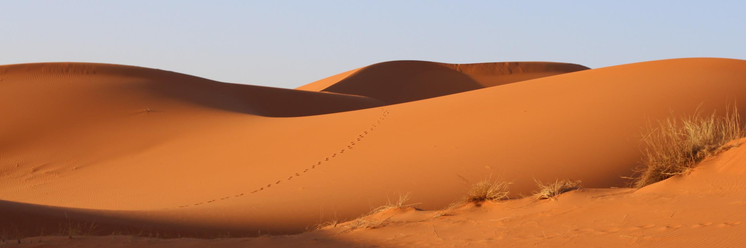 Taíse Parente banner