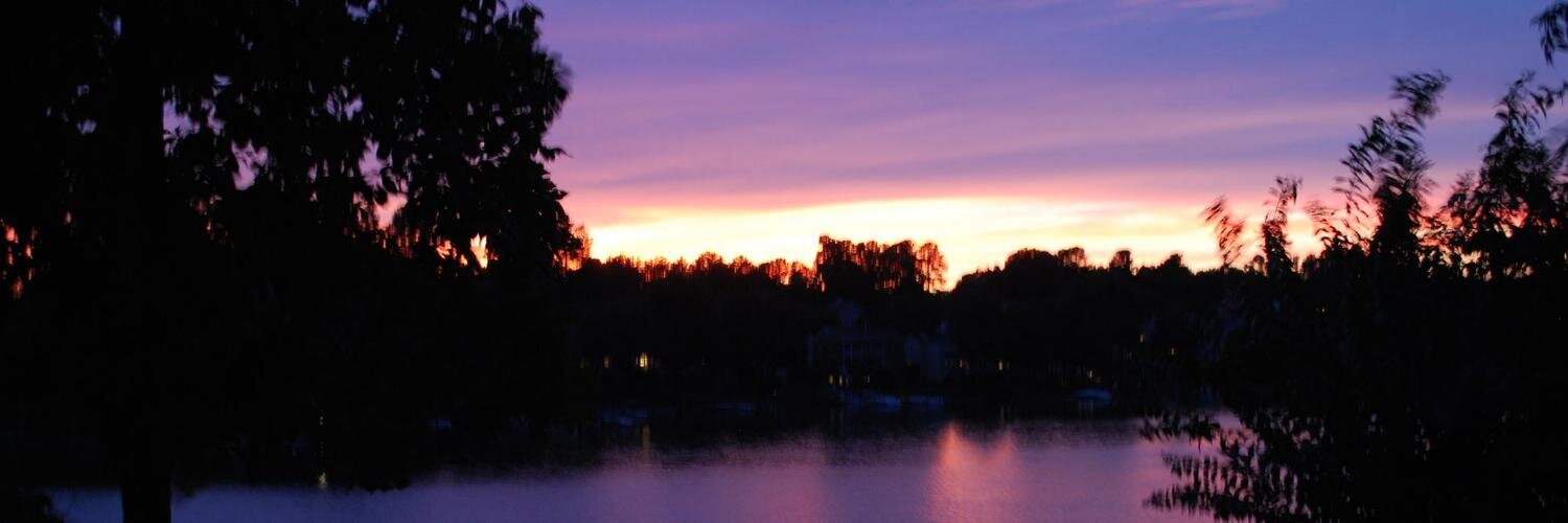 Erica Stolzenberg banner