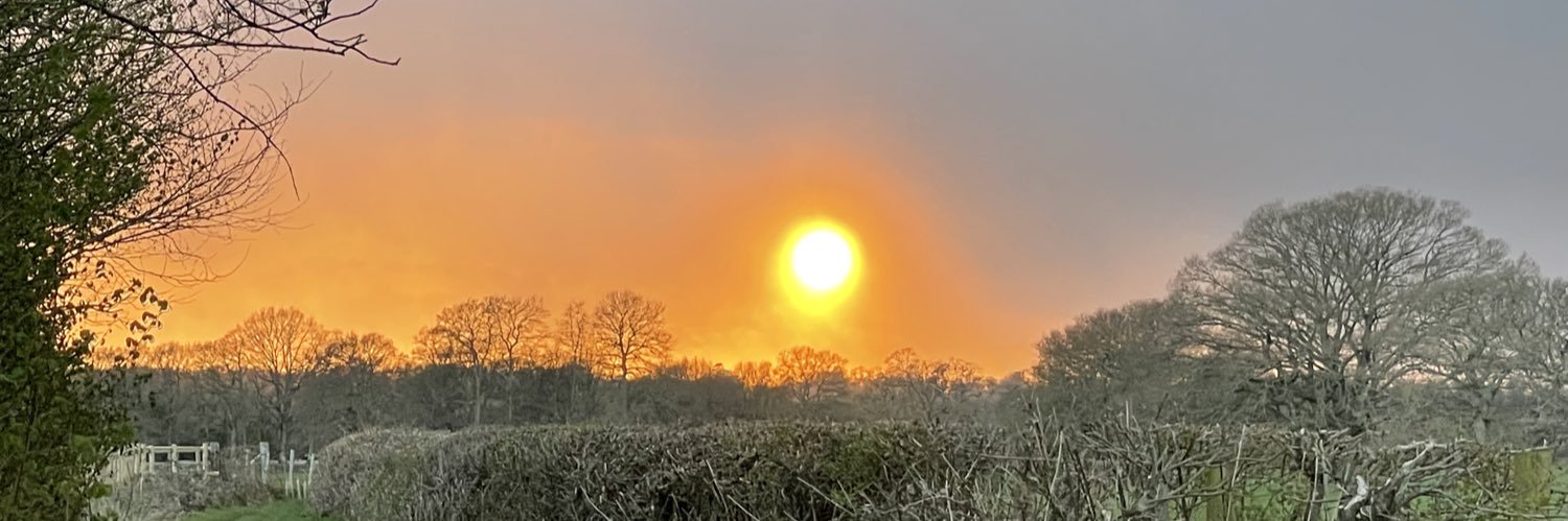 Phileas Ballybro banner