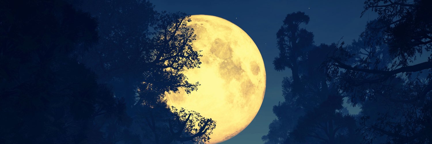 nameisakhill's profile banner image