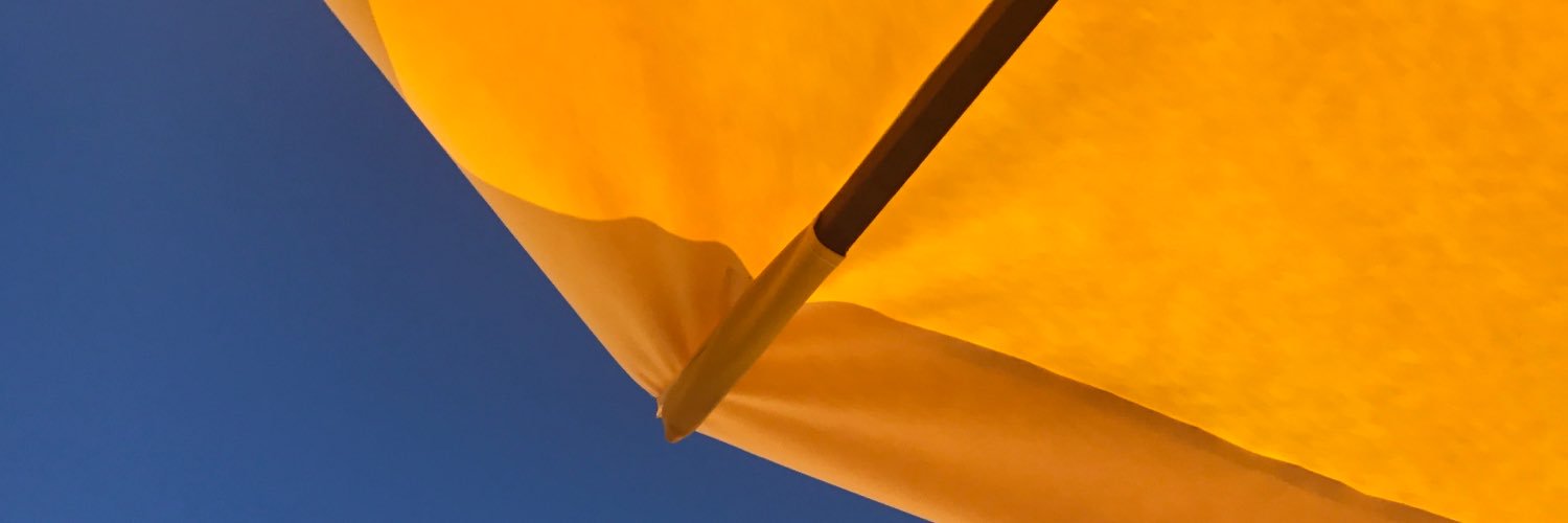 elisaraquel's profile banner image