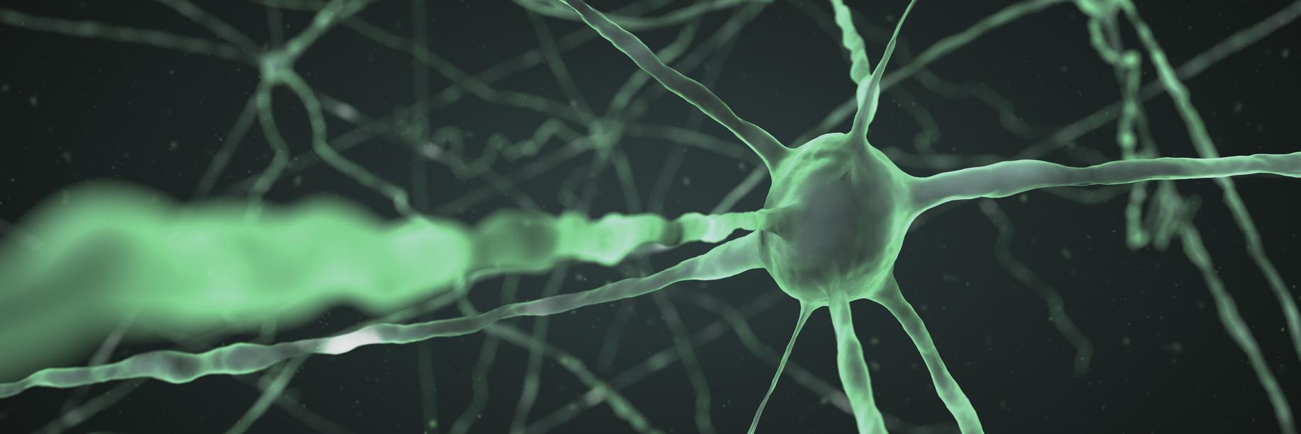 Fundación AINDACE banner