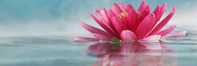 ddivya_best's profile banner image