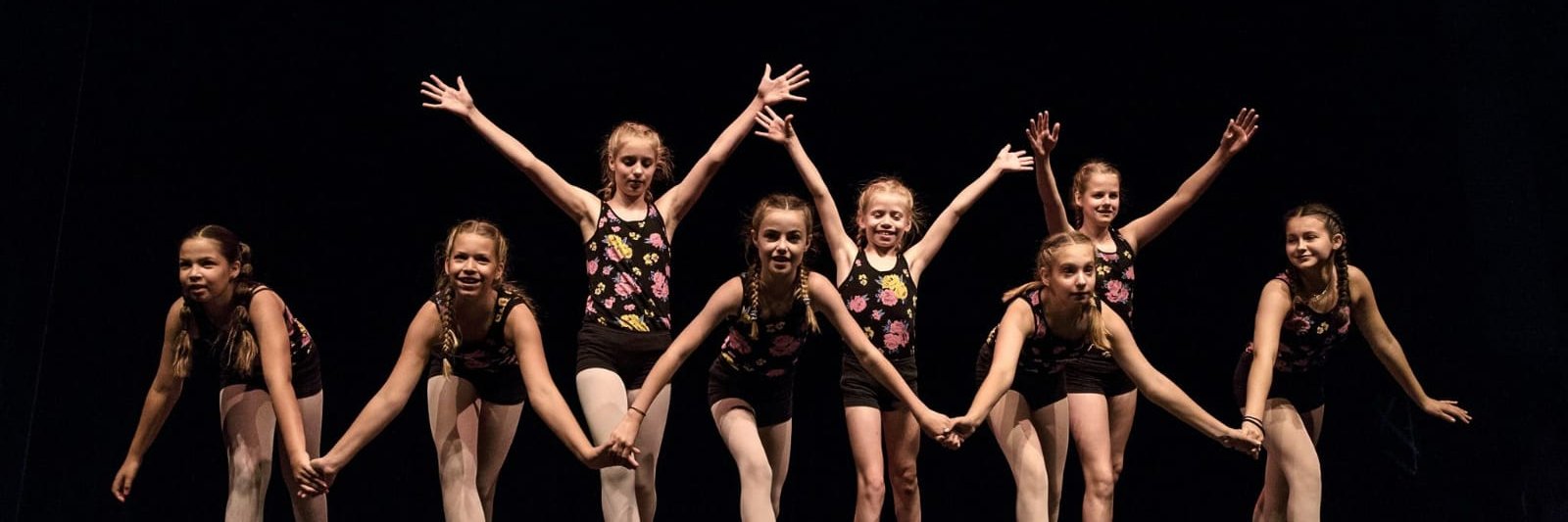 Ermelo's Weekblad banner