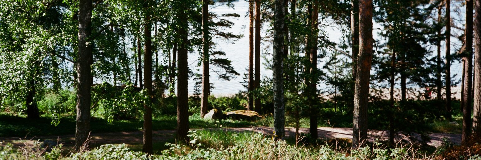 simon_gebauer's profile banner image