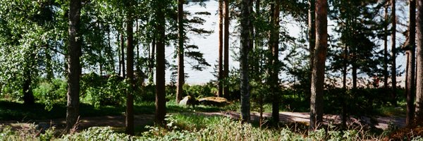 simon_gebauer Profile Banner