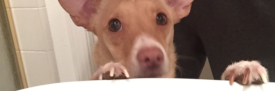zbm2damoon's profile banner image