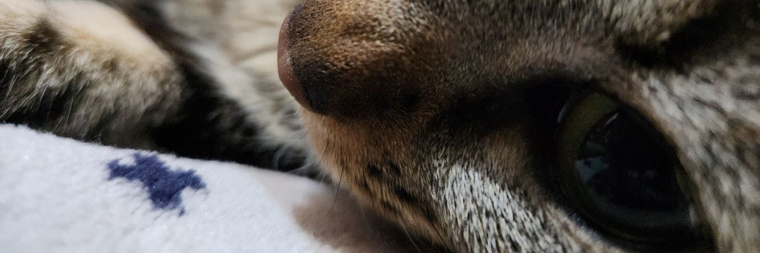 DaaniiRuiz's profile banner image