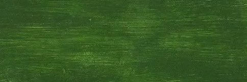 BobtheBator banner