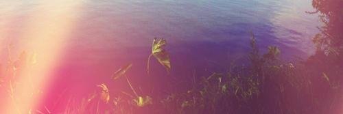 Chloob's profile banner image