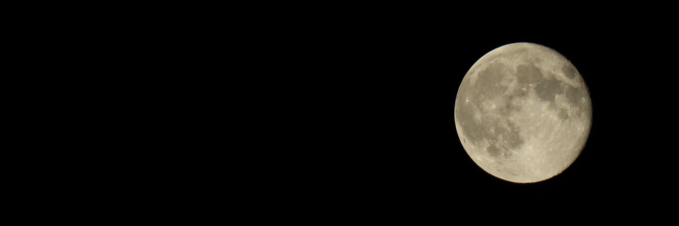 Paolo Palmieri banner