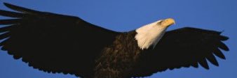 JBusie's profile banner image