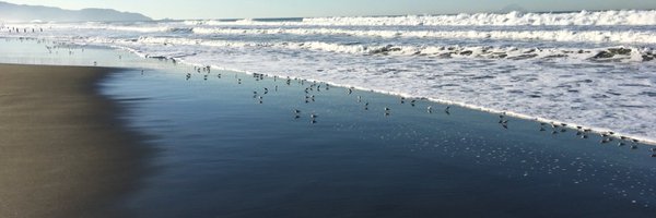 rthomble Profile Banner