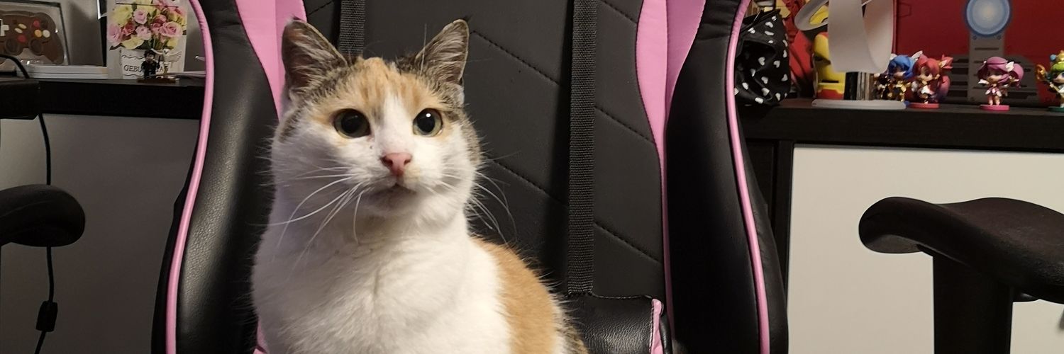 🐼 PandaPri 🌸 banner