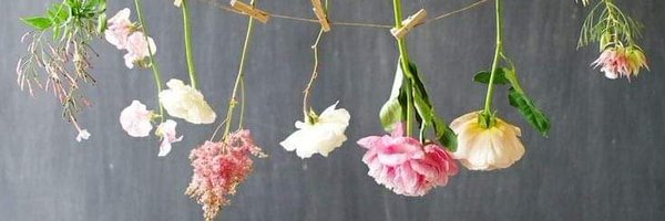 1967monique Profile Banner