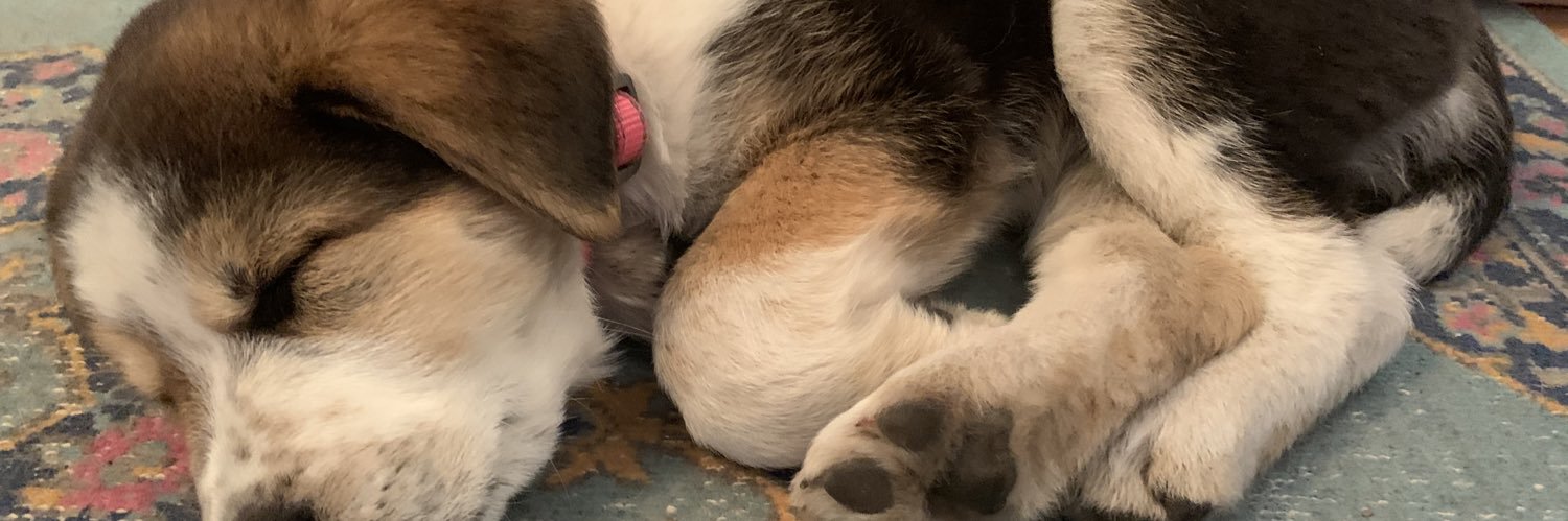 JDCo00's profile banner image