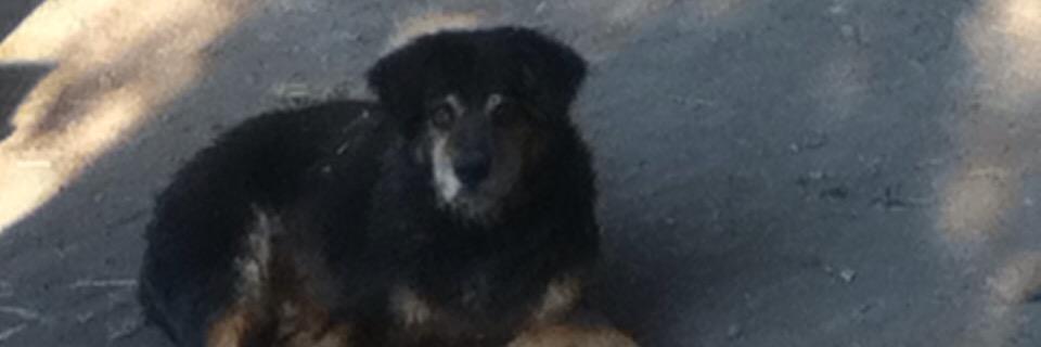 stiemy1's profile banner image