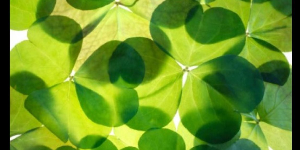 CountyLimerick's profile banner image