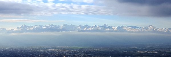 scribalatinus Profile Banner