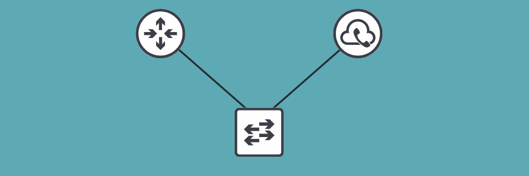 Denis Pointer banner