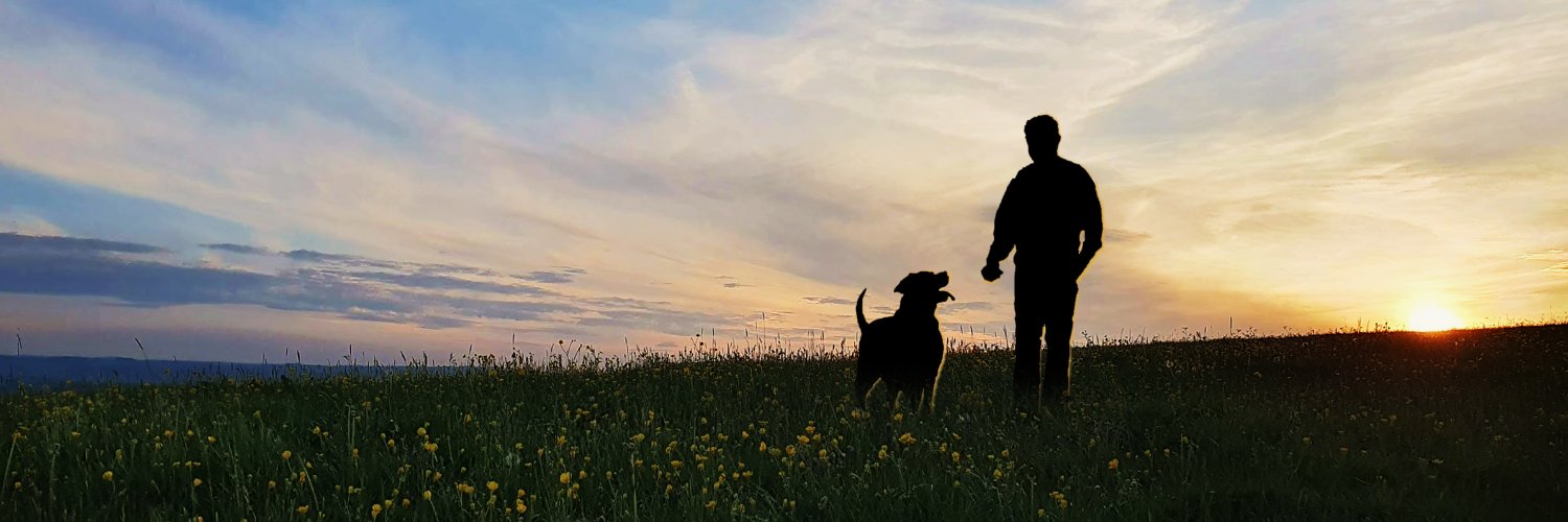 VPHA's profile banner image