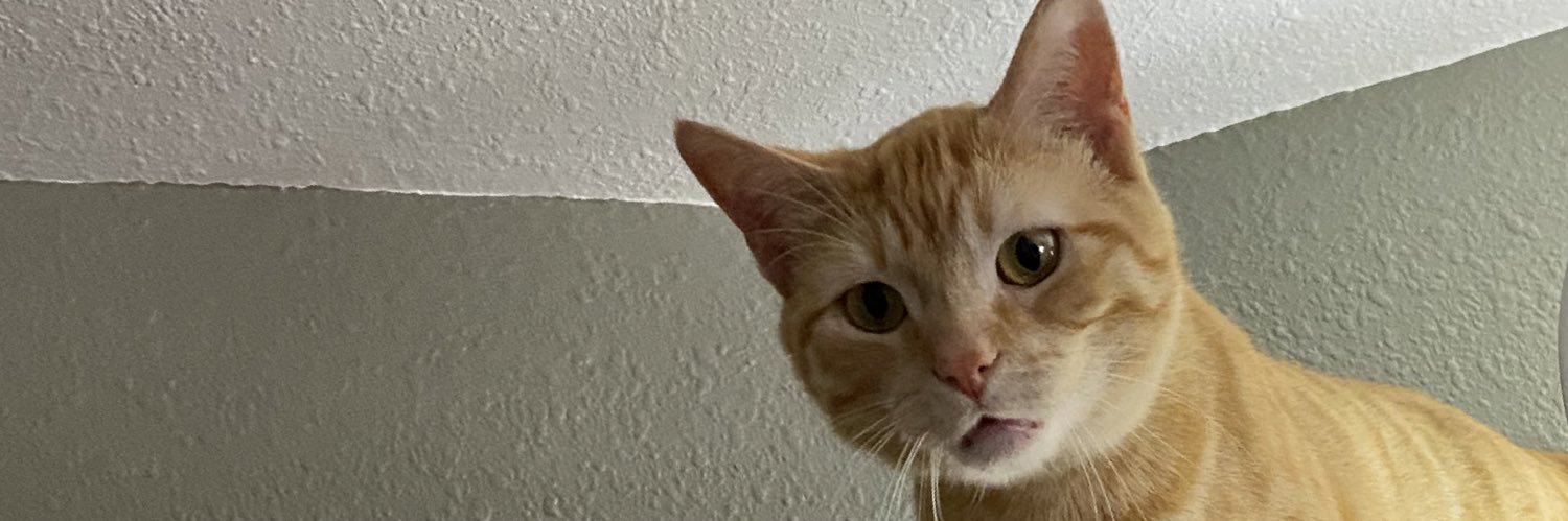 Hendrix_Kens's profile banner image