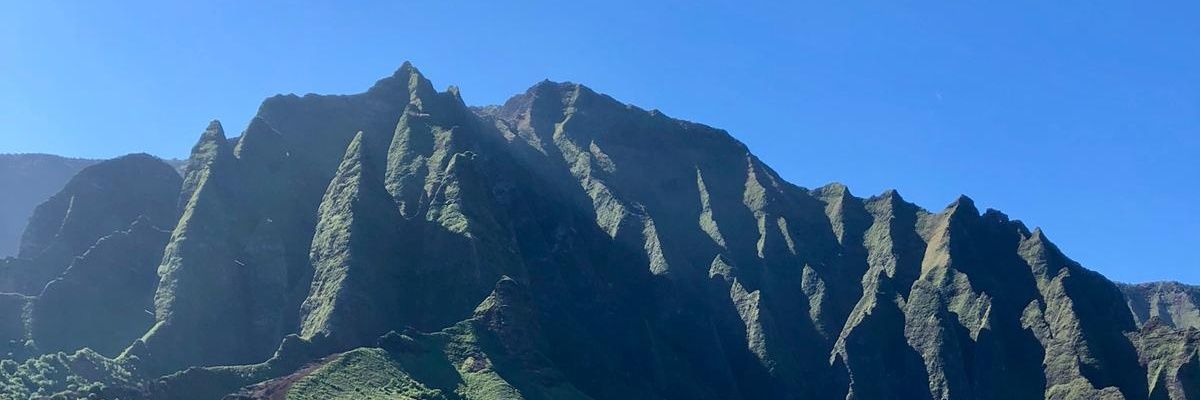 Greensavior's profile banner image
