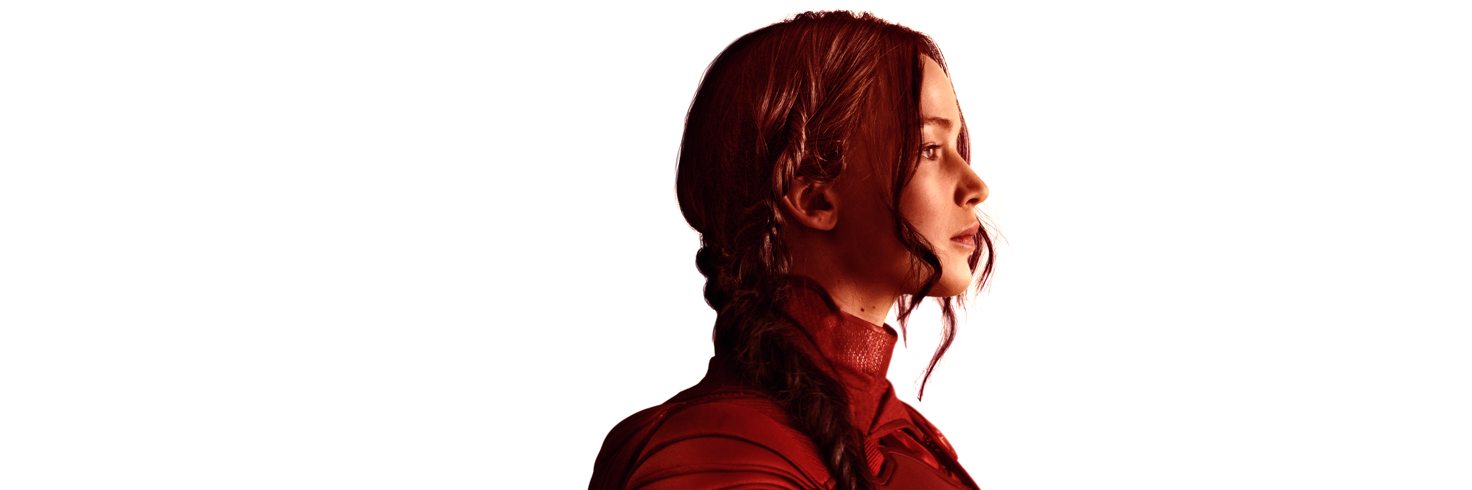 One Panem banner