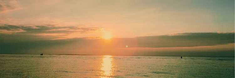allisoniles's profile banner image