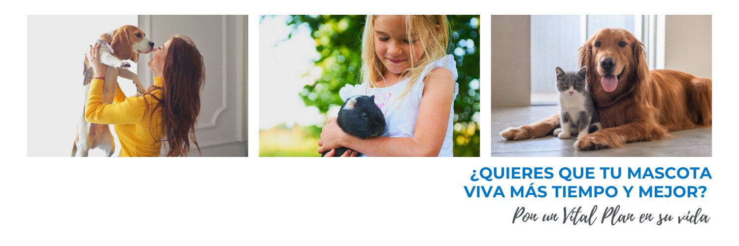 RedVetersalud's profile banner image