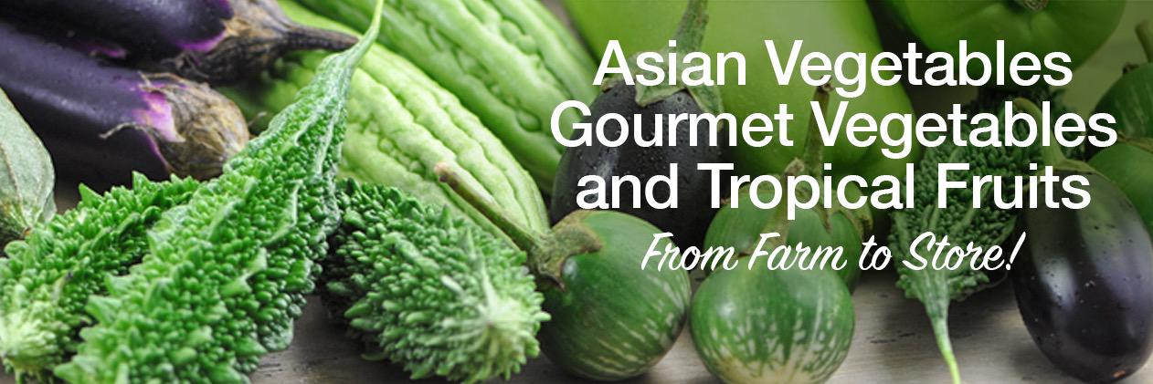 VegaProduce's profile banner image