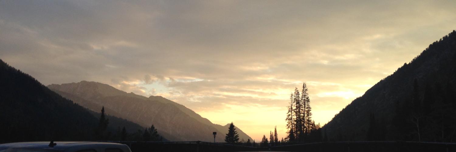 Todd Whatcott 🔺 banner