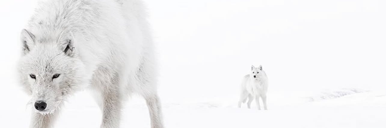 501Famous's profile banner image